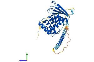 AlphaFold protein structure predicition of Human Recombinant AIMP2 Protein, UniprotID Q13155 (AIMP2 Protein (AA 1-320) (His tag))