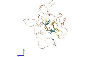 Protein Structure (PS) image for Trophinin Associated Protein (TROAP) (AA 1-668) protein (His tag) (ABIN7562071)