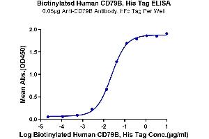 Immobilized Anti-CD79B Antibody, hFc Tag at 0. (CD79b Protein (AA 29-159) (His-Avi Tag,Biotin))