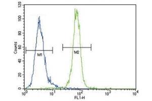 Anti-AKT antibody flow cytometric analysis of MDA-MB435 cells (right histogram) compared to a negative control (left histogram).