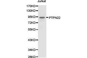 Western Blotting (WB) image for anti-Tyrosine-Protein Phosphatase Non-Receptor Type 22 (PTPN22) antibody (ABIN1874452) (PTPN22 抗体)