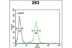 CLDN8 Antibody (Center) (ABIN653170 and ABIN2842734) flow cytometric analysis of 293 cells (right histogram) compared to a negative control cell (left histogram). (CLDN8 抗体  (AA 140-166))