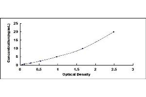 Typical standard curve (Elastase 4 ELISA 试剂盒)