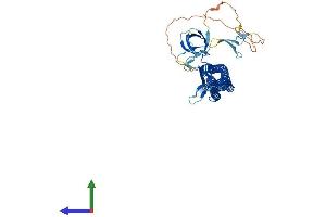 Protein Structure (PS) image for Growth Arrest-Specific 7 (GAS7) (AA 1-476) protein (His tag) (ABIN7547846)