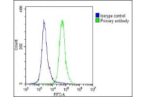 Overlay histogram showing U-2 OS cells stained with (ABIN656709 and ABIN2845939)(green line). (CD276 抗体  (C-Term))