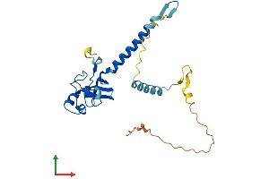 Protein Structure (PS) image for Mediator Complex Subunit 6 (MED6) (AA 1-246) protein (His tag) (ABIN7549302)