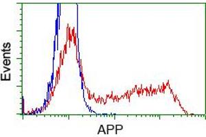 Image no. 1 for anti-Amyloid beta (A4) Precursor Protein (APP) antibody (ABIN1496875) (APP 抗体)