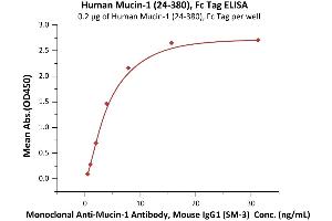 Immobilized Human Mucin-1 (24-380), Fc Tag (ABIN6973165) at 2 μg/mL (100 μL/well) can bind Monoclonal A-1 Antibody, Mouse IgG1 (SM-3) with a linear range of 0. (MUC1 Protein (AA 24-380) (Fc Tag))