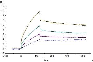 Surface Plasmon Resonance (SPR) image for Discoidin Domain Receptor tyrosine Kinase 1 (DDR1) (AA 21-417) protein (His tag) (ABIN7274460)