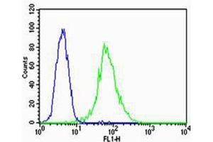 Flow cytometric analysis of HUVEC cells using VEGFR3(green, Cat (ABIN1882290 and ABIN2843609)) compared to an isotype control of mouse IgG2a(blue). (FLT4 抗体  (AA 1-439))