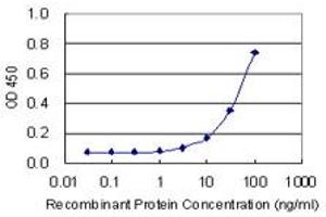 Detection limit for recombinant GST tagged BMI1 is 1 ng/ml as a capture antibody. (BMI1 抗体  (AA 1-326))