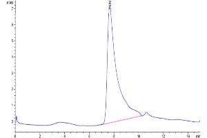 The purity of Human Calprotectin (S100A8&S100A9) is greater than 95 % as determined by SEC-HPLC. (Calprotectin Protein (S100A8/A9) (His tag))
