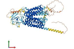 Protein Structure (PS) image for Solute Carrier Organic Anion Transporter Family, Member 1C1 (SLCO1C1) (AA 1-712) protein (His tag) (ABIN7555512)