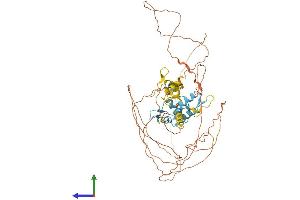 AlphaFold protein structure predicition of Human Recombinant IKZF4 Protein, UniprotID Q9H2S9 (IKZF4 Protein (AA 1-585) (His tag))