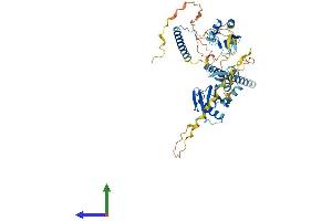 Protein Structure (PS) image for UBX Domain Protein 11 (UBXN11) (AA 1-520) protein (His tag) (ABIN7545020)