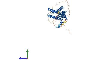 AlphaFold protein structure predicition of Human Recombinant YIPF1 Protein, UniprotID Q9Y548