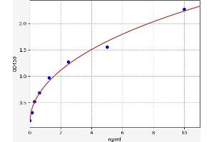 serine (Or Cysteine) Peptidase Inhibitor, Clade A, Member 3G (Serpina3g) ELISA 试剂盒