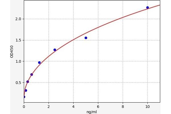 serine (Or Cysteine) Peptidase Inhibitor, Clade A, Member 3G (Serpina3g) ELISA 试剂盒