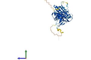 Protein Structure (PS) image for Dual Specificity Phosphatase 12 (DUSP12) (AA 1-340) protein (His tag) (ABIN7547264)