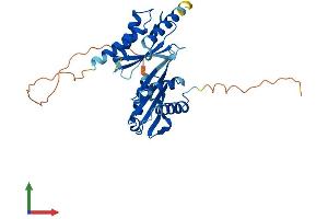 Protein Structure (PS) image for Impact Homolog (IMPACT) (AA 1-318) protein (His tag) (ABIN7562477)