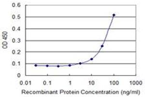 Detection limit for recombinant GST tagged PCK2 is 3 ng/ml as a capture antibody. (PEPCK 抗体  (AA 1-640))