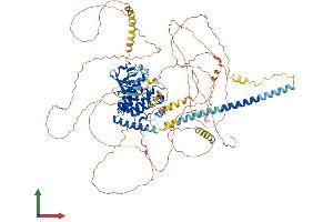 Protein Structure (PS) image for Mitogen-Activated Protein Kinase Kinase Kinase 13 (MAP3K13) (AA 1-959) protein (His tag) (ABIN7563644)