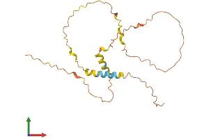 AlphaFold protein structure predicition of Human Recombinant ZNF503-AS2 Protein, UniprotID A6NEH8 (ZNF503-AS2 Protein (AA 1-195) (His tag))