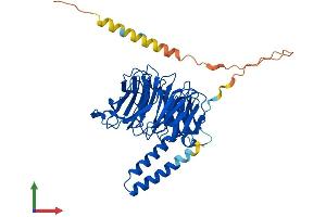 AlphaFold protein structure predicition of Mouse Recombinant Tbl2 Protein, UniprotID Q9R099