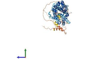 Protein Structure (PS) image for Solute Carrier Family 2 (Facilitated Glucose Transporter), Member 12 (SLC2A12) (AA 1-617) protein (His tag) (ABIN7548170)