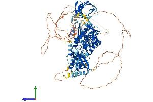 Protein Structure (PS) image for Discs, Large Homolog 2 (DLG2) (AA 1-870) protein (His tag) (ABIN7553712)