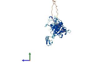 Protein Structure (PS) image for Ubiquitin Thioesterase OTU1 (YOD1) (AA 1-348) protein (His tag) (ABIN7550330)
