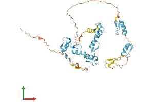 AlphaFold protein structure predicition of Human Recombinant ZNF787 Protein, UniprotID Q6DD87