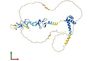 AlphaFold protein structure predicition of Human Recombinant LHX4 Protein, UniprotID Q969G2