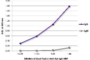 ELISA image for Goat anti-Rat IgG antibody (ABIN5707432)