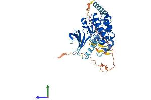 Protein Structure (PS) image for Cyclin-Dependent Kinase-Like 4 (CDKL4) (AA 1-379) protein (His tag) (ABIN7553066)