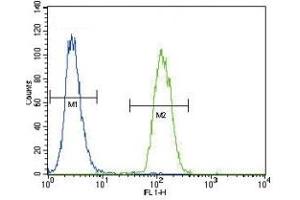 Flow Cytometry (FACS) image for anti-Plasminogen Activator, Urokinase (PLAU) (AA 60-90) antibody (ABIN3032245)