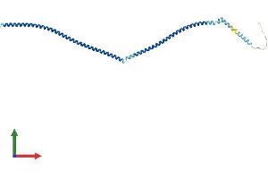 AlphaFold protein structure predicition of Mouse Recombinant Ccdc172 Protein, UniprotID Q810N9