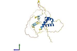 AlphaFold protein structure predicition of Human Recombinant NKX6-3 Protein, UniprotID A6NJ46 (NK6 Homeobox 3 Protein (NKX6-3) (AA 1-265) (His tag))