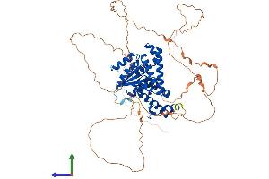 Protein Structure (PS) image for Eyes Absent Homolog 4 (EYA4) (AA 1-616) protein (His tag) (ABIN7565272)