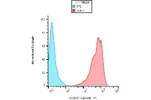 Surface staining of human MCF-7 cell line with anti-human CD326 / EpCAM (VU-1D9) APC. (EpCAM 抗体  (APC))