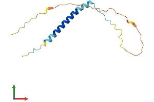 Protein Structure (PS) image for Transcription Elongation Factor A (SII)-Like 8 (TCEAL8) (AA 1-117) protein (His tag) (ABIN7544332)