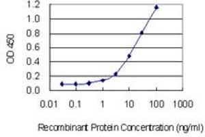 Detection limit for recombinant GST tagged ABO is 0. (ABO 抗体  (AA 273-354))