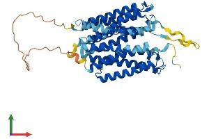 AlphaFold protein structure predicition of Human Recombinant SLC52A2 Protein, UniprotID Q9HAB3