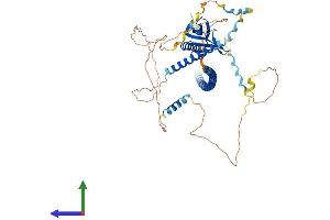 AlphaFold protein structure predicition of Human Recombinant ENAH Protein, UniprotID Q8N8S7