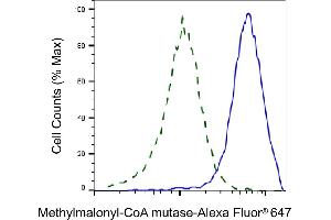 Validation of Methylmalonyl-CoA mutase knockdown using flow cytometry. (Recombinant MUT 抗体)