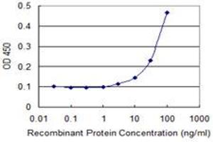 Detection limit for recombinant GST tagged EPHB2 is 3 ng/ml as a capture antibody. (EPH Receptor B2 抗体  (AA 226-325))