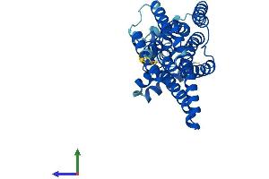 Protein Structure (PS) image for Glucose 6-Phosphatase, Catalytic 3 (G6PC3) (AA 1-346) protein (His tag) (ABIN7557950)