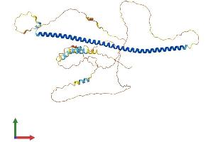 Protein Structure (PS) image for Syntaphilin (SNPH) (AA 1-494) protein (His tag) (ABIN7546068)