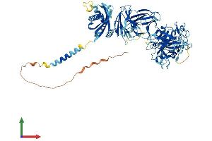 Protein Structure (PS) image for Transmembrane Protease, serine 6 (TMPRSS6) (AA 1-811) protein (His tag) (ABIN7555799)