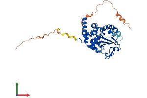AlphaFold protein structure predicition of Human Recombinant TTPAL Protein, UniprotID Q9BTX7 (TTPAL Protein (AA 1-342) (His tag))